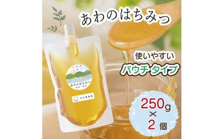 はちみつ 500g (250g×2個) 国産 非加熱 パウチ 栄養 満点 天然 純粋 蜂蜜 ハチミツ ギフト デザート 井本養蜂園 ハチミツ