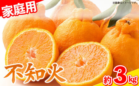 しらぬい 不知火 3kg 家庭用 訳あり9〜10個入り みかん 柑橘 不知火 不知火 しらぬい