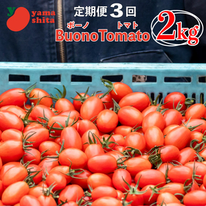 定期便 ミニトマト 2kg 3カ月 アイコ トマト ボーノトマト 農家直送 サラダ とまと フルーツトマト tomato 美味しい 甘い 野菜 トマト