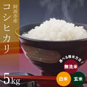 コシヒカリ 米 5kg お米 無洗米 白米 玄米 令和6年産 ごはん ご飯 おにぎり チャーハン オムライス 主食 阿波市 徳島県