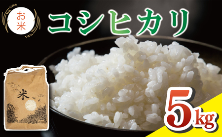 米 コシヒカリ 5kg 令和6年産 米 こめ ご飯 ごはん おにぎり 白米 精米 卵かけご飯 食品 備蓄 備蓄米 保存 防災 ギフト 贈答 プレゼント お取り寄せ グルメ 送料無料 徳島県 阿波市 有限会社福井園芸