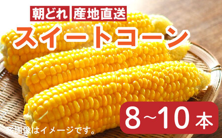 とうもろこし スイートコーン 3kg以上 8〜10本 おおもの とうもろこし スイートコーン [ 2025年6月〜順次発送 ]