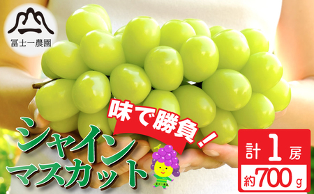 シャインマスカット 約700g 1房 ぶどう 葡萄 マスカット マスカット ぶどう ぶどう