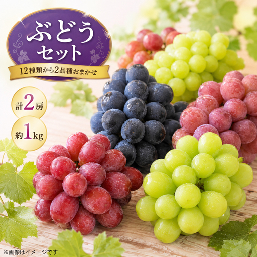シャインマスカット ぶどう 品種おまかせ 2房 計1kg