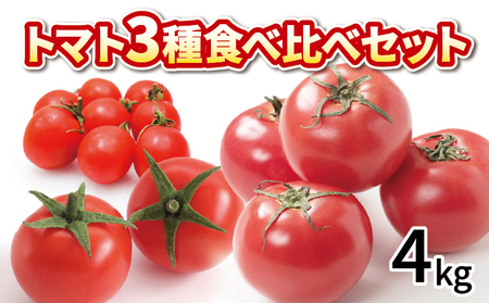 g}g ~jg}g 4kg 3 Hה Zbg g}g g}g g}g g}g