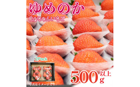 いちご ゆめのか 500g 以上 (270g×2p) 果物 フルーツ ストロベリー スイーツ 先行予約 阿波市 徳島県