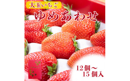 [ 先行予約 ]いちご やよいひめ かおりの 12〜15個 化粧箱入 大粒 果物 フルーツ やよい姫 かおり野 贈答品 プレゼント ゆめあわせ 農家直送 徳島県 阿波市 先行予約