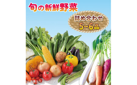 野菜 詰め合わせ 5〜6品目 産地直送 セット 玉ねぎ パプリカ ブロッコリー ニラ ナス ミニトマト きゅうり にんにく ベビーリーフ バジル サンチュ ズッキーニ ゴーヤ カリフラワー さつまいも ミニ白菜 小松菜 ほうれん草 季節 サラダ 新鮮 冷蔵 クール便 徳島県 阿波市 ヤサイ ヤサイ野菜