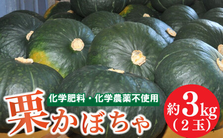 かぼちゃ 2玉 約3〜4kg 品種おまかせ 南瓜 夏野菜 カボチャ 南瓜 カボチャ 南瓜