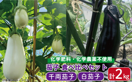 なす 千両なす 白なす セット ミックス 2色 約2kg なす ナス 茄子 なすび ナス 茄子