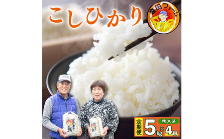 米 定期便 5kg 4回 こしひかり 新米 令和6年度産 精米済 白米 備蓄 備蓄米 保存 防災 災害 卵かけご飯 おにぎり 美味しい おすすめ 徳島県 阿波市