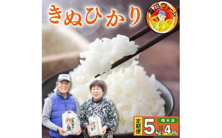 米 定期便 5kg 4回 きぬひかり 新米 令和6年度産 精米済 白米 備蓄 備蓄米 保存 防災 災害 卵かけご飯 おにぎり 美味しい おすすめ 徳島県 阿波市[