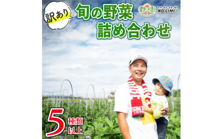 訳あり 野菜 セット 5種以上 詰め合わせ 旬野菜 レタス グリーンリーフ サニーレタス ロメインレタス キャベツ 赤キャベツ 大根 ニラ スナップエンドウ さやえんどう 人参 玉ねぎ ゴーヤ オクラ 茄子 白茄子 生姜 青ネギ 農家直送 産地直送 生産者直送 クール便 冷蔵 お取り寄せ ご当地 特産物 徳島県 阿波市 四国 ヤサイ