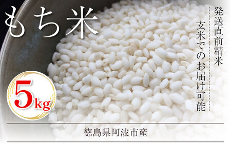 米 もち米 5kg 新米 令和7年産 餅 赤飯 おはぎ もち米 もち米 もち米
