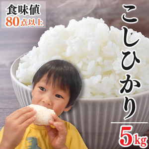 お米 コシヒカリ 5kg 新米 令和6年産 [ 10月上旬 〜 順次発送 ] 食味値 80点以上 備蓄 備蓄米 保存 防災 災害 棚田米 ライス ブランド おにぎり おにぎらず 徳島県 阿波市 米 コメ