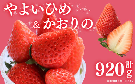 訳あり いちご やよいひめ かおりの 計 920g 果物 フルーツ やよい姫 かおり野 家庭用 甘い 農家直送 徳島県 阿波市 先行予約