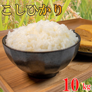 RVqJ  10kg ߘa7NY yāz