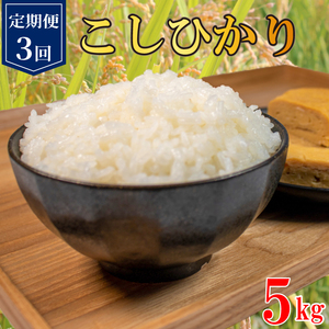 定期便 3回 コシヒカリ 無洗米 5kg 令和6年産 米 こめ ご飯 ごはん おにぎり 白米 精米 新米 無洗米 卵かけご飯 食品 備蓄 備蓄米 保存 防災 ギフト 贈答 プレゼント お取り寄せ グルメ 送料無料 徳島県 阿波市 須見商店