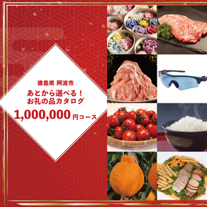 ゆっくりえらべる カタログ 100万円 コース あとから選べる 鮮魚 肉 米 酒 定期便 スイーツ フルーツ 選べる ギフト セレクト [ 徳島県 阿波市 ]