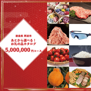 ゆっくりえらべる カタログ 500万円 コース あとから選べる 鮮魚 肉 米 酒 定期便 スイーツ フルーツ 選べる ギフト セレクト [ 徳島県 阿波市 ]