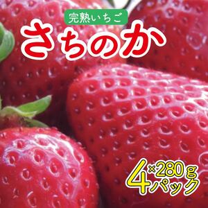 いちご さちのか 4パック ( 280g × 4 ) 大粒 果物 フルーツ 苺 ストロベリー ケーキ アイス タルト ジュース ゼリー ジェラート シャーベット ジャム スムージー 洋菓子 和菓子 フルーツサンド 大福 いちご大福 プレゼント ギフト お取り寄せ グルメ 送料無料 徳島県 阿波市 御所の郷