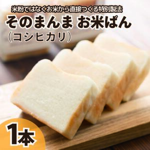 パン 食パン そのまんまお米ぱん 1本 600g コシヒカリ 米 使用 小麦 乳製品 卵 グルテン 不使用 タンパク質 低カロリー 健康志向 手作り 天然酵母 カフェ 朝食 お取り寄せ グルメ 冷凍 送料無料 徳島県 阿波市