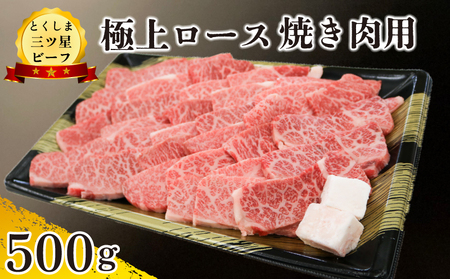 黒毛和牛 ロース 焼肉 500g 和牛 とくしま三つ星ビーフ 牛肉 牛肉 牛肉 牛肉 牛肉 牛肉