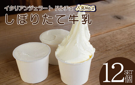 WF[g C^AWF[g ڂ肽ċ 12 ACX WF[g ACX WF[g ACX WF[g