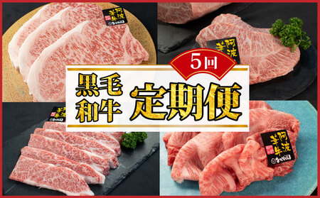 黒毛和牛 牛肉 定期便 5回 和牛 ぎゅうにく 肉 にく 牛 ぎゅう