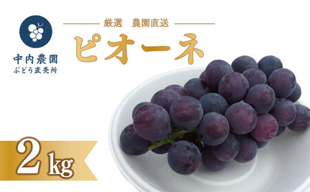 ピオーネ 2kg [ 2025年 8月 下旬 〜 順次発送 ]フルーツ ぶどう ぶどうぶどう