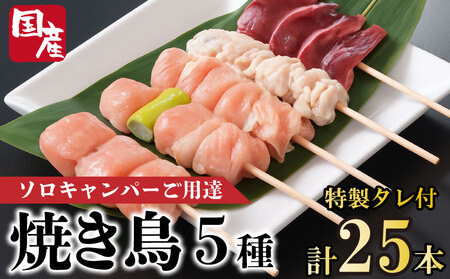 焼き鳥 5種 25本 セット タレ付き 国産 もも 皮 砂ぎも ねぎま 鶏肉 とりにく