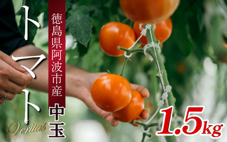 g}g  1.5kg  ₳ g}g g}g g}g g}g