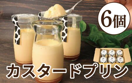 カスタードプリン 6個 プリン プリン プリン プリン