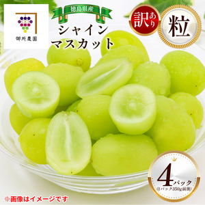 訳あり シャインマスカット 4パック 粒でお届け