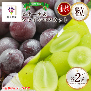 訳あり シャインマスカット ピオーネ 各2パック 粒でお届け