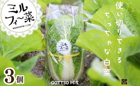 ミニ白菜 ミルフィ〜菜 3個 野菜 やさい 白菜 はくさい 鍋 スープ 味噌汁 漬物 餃子 キムチ