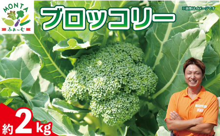 ブロッコリー 約2kg 野菜 やさい ブロッコリー ブロッコリー ブロッコリー
