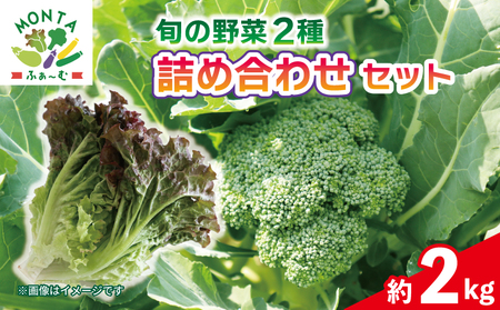 野菜 ブロッコリー サニーレタス 約2kg 詰め合わせ ブロッコリー サニーレタス