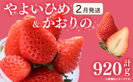 s2t s\  󂠂  悢Ђ  2Zbg 920g   