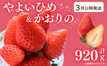 [3月〜発送] 先行予約 訳あり いちご やよいひめ かおりの 2種セット 920g いちご いちご いちご