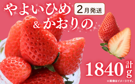 s2t s\ 󂠂  悢Ђ  2 v1840g   