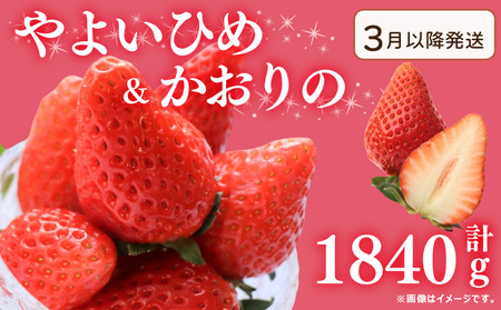 s3t s\ 󂠂  悢Ђ  2 v1840g   