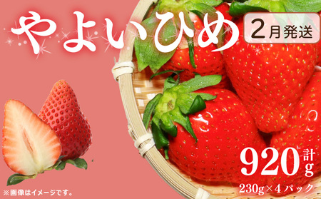 s2ts\ 󂠂  悢Ђ 920g     Berry Mate Farm