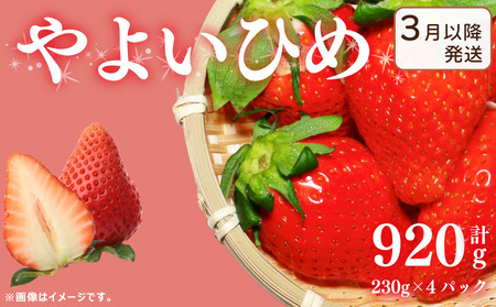 [3月〜発送] 先行予約 訳あり いちご やよいひめ 920g いちご いちご いちご Berry Mate Farm