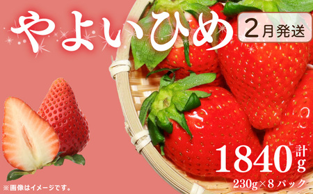 s2ts\ 󂠂  悢Ђ 1840g    Berry Mate Farm