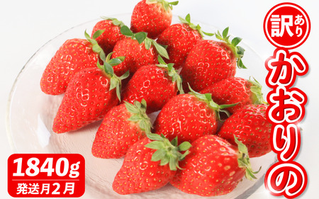 s2t s\ 󂠂   v1840g     Berry Mate Farm