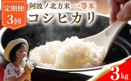 コシヒカリ 定期便 3kg 3回 令和7年産 阿波ノ北方米 1等 米 お米 お米