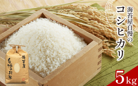  RVqJ 5kg ߘa7NY   Cۉ̕  