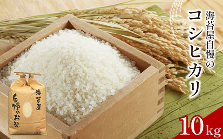  RVqJ 10kg ߘa7NY   Cۉ̕  