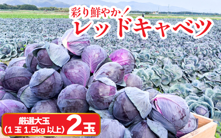 Lxc bhLxc I  2 (11.5kgȏ)  Lxc Lxc